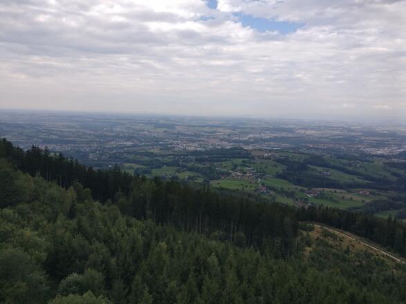Von der Aussichtswarte am Damberg