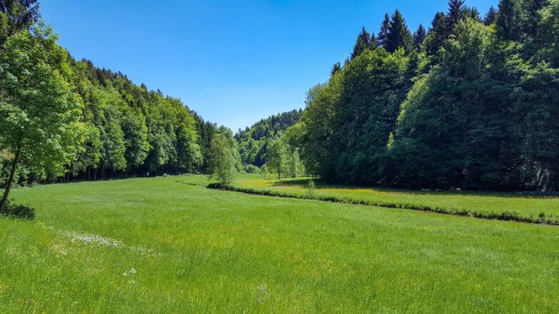 Im Aufseßtal