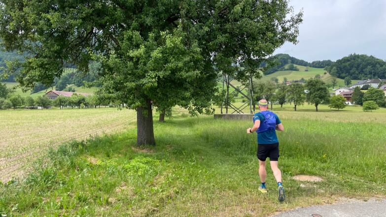 Bahnhof Ternberg - Herndleck Trail