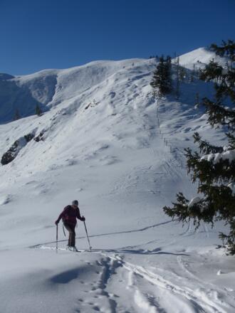 Verbindungskamm vom Ahornstein zum Schneeberg