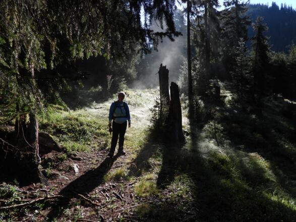 Es hat die letzten Tage ordenltich geregnet und abgekühlt