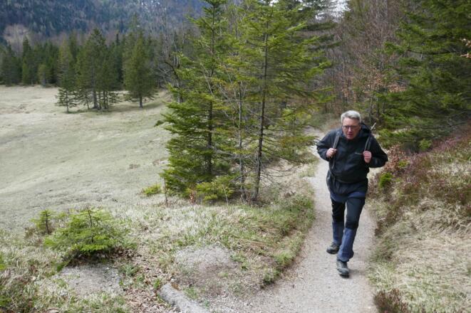 Bequeme Kieswege führen vom Ferchensee zum Hohen Kranzberg hinauf.