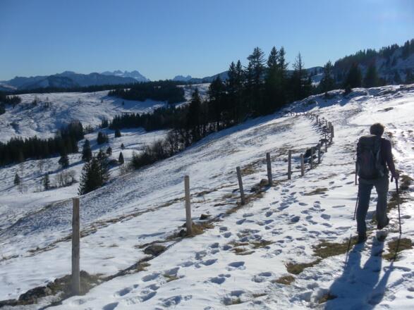 Abstieg zum Illingersattel