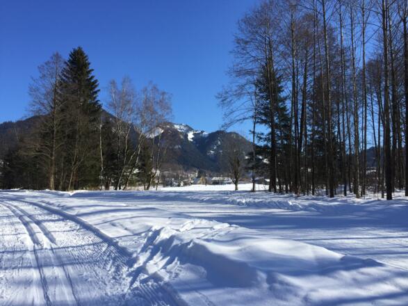 Fischbachau in Sicht