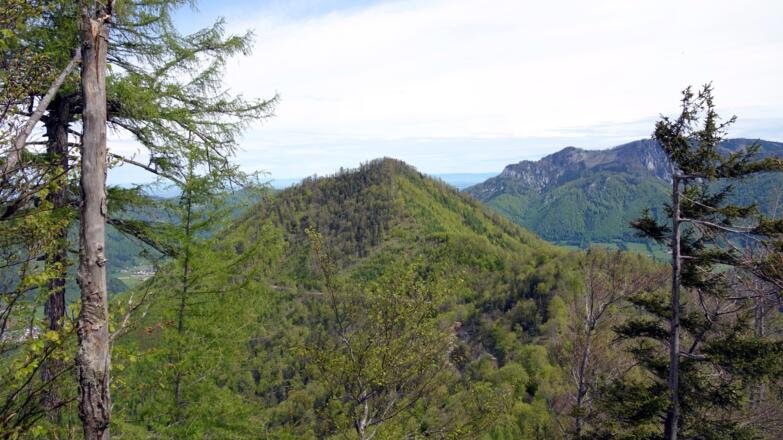 Rammelspitz von ca. 1050m beim Abstieg