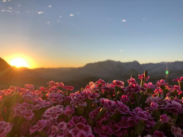 Sonnenaufgang über dem Steinernen Meer