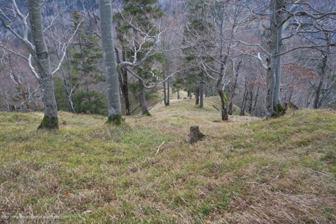 Abstieg auf breitem Wiesenhang
