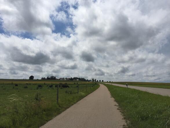 Auffahrt nach Welshofen