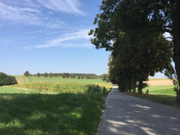 Von Englertshofen nach Kuchenried