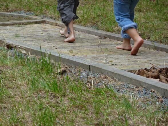 Station 6: Bodenlehrpfad - Boden mit allen Sinnen erfahren