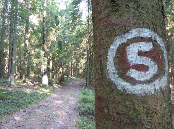 unsere Markierung für heute - die "Rot 5"