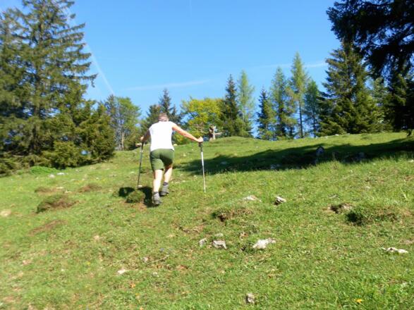 Wiese zum Schwarzenberg
