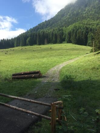 Am Golfplatz geht es hier nach rechts über die Absperrung auf dem schmalen Fahrweg weiter