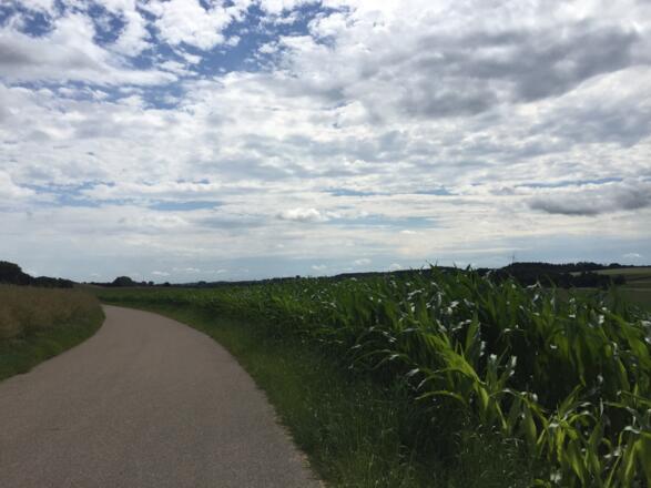 Blick übers Glonntal