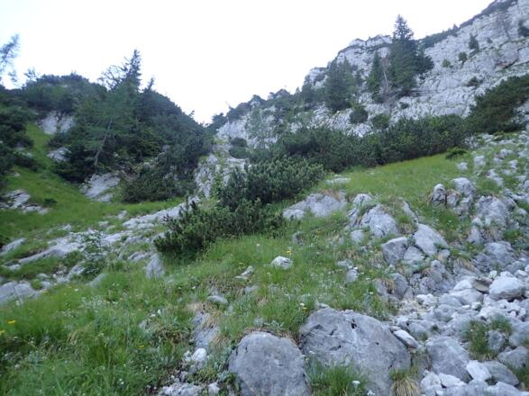 Einfacher Mittelteil