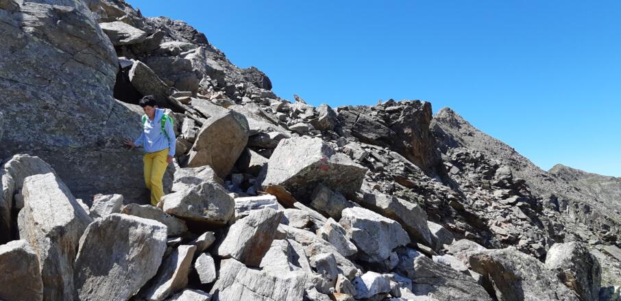 Markierungen leiten verlässlich durch ...