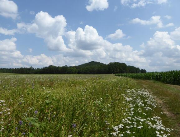 Blick auf den Staufer Berg