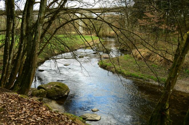 Eine kleine Straße führt hinunter zur Feldaist