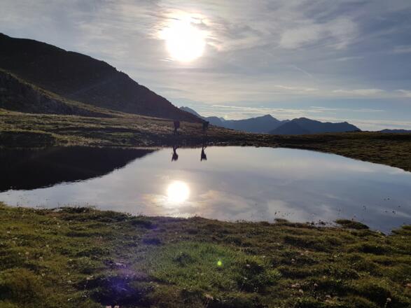 unzählige Lacken sind hier zu finden, nicht nur der Schwarzsee