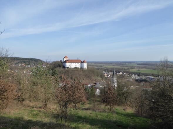 Blick auf Wörth an der Donau