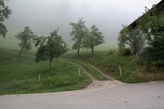 Bei diesem Fahrweg beginnt die Wanderung auf den Steyrsberg.
