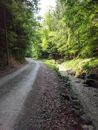 Weg am Hitzenauer Bach