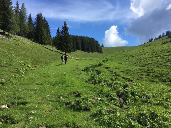 Auf der Alm