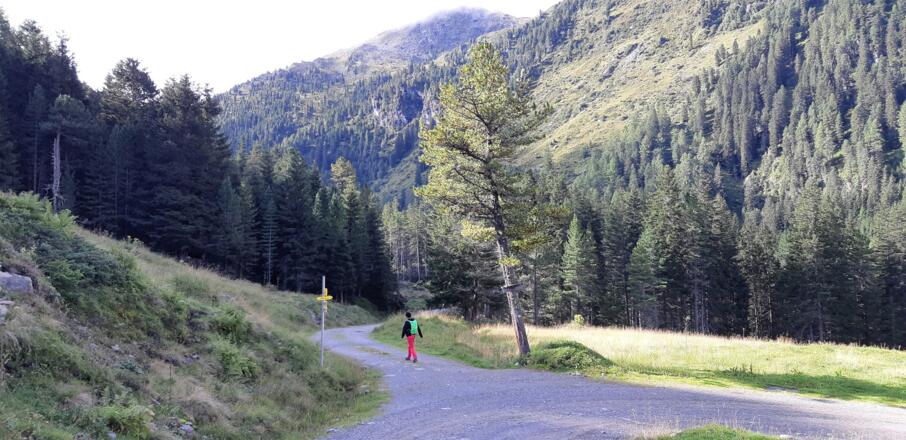 ... zur Linkskehre und zur Wegkreuzung. Wir folgen dem Wegweiser nach &quot;Schwarzbrunn&quot; und biegen rechts ein.