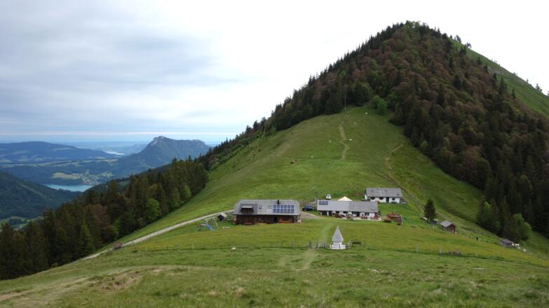 Oberwies Almen 1350m mit Schafberg