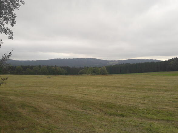 Sicht von Kolmberg zum Hadriwa und Riedelswald