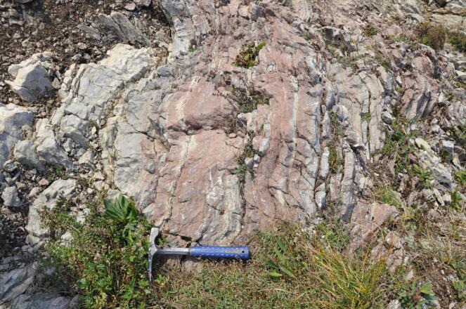 Rotkalke in der Allgäu-Formation