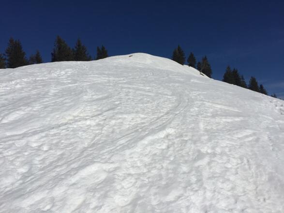 kurz vor dem Seelekopf Gipfel