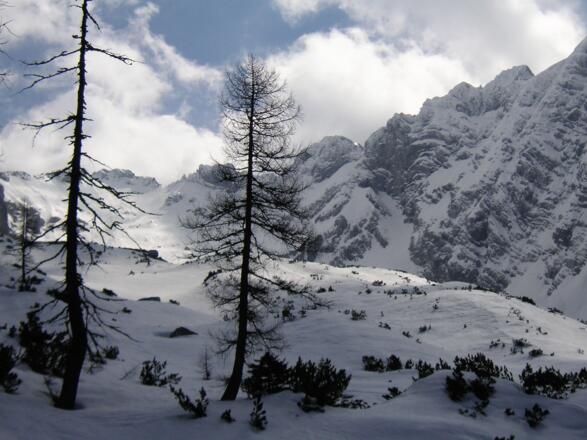 oberhalb der Hocheisalm