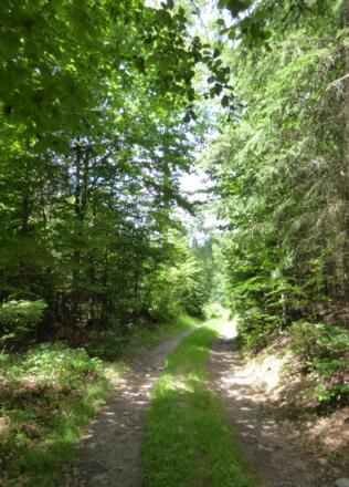 Waldpfade nach Kagerhof