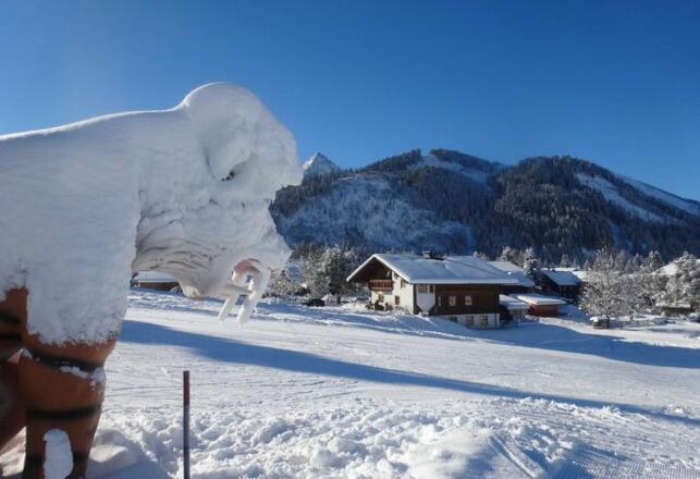 Auf dem ICE AGE Ski und Rodelhang
