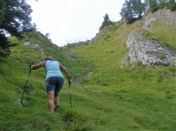Gipfelmulde zum Zellerhorn