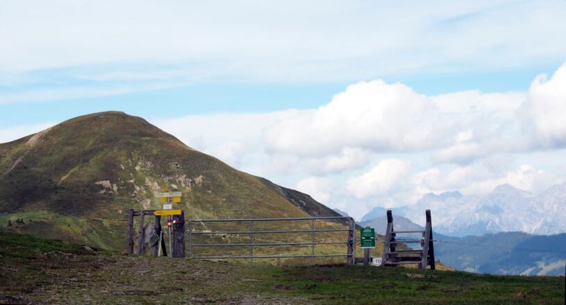 1918m Rohrer Törl mit Maurerkogel, rechts Rückweg