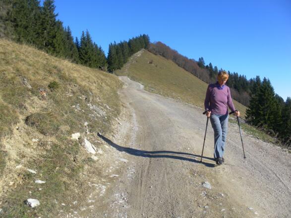 Zwölferhorn Südwestgrat