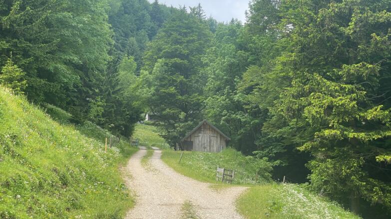Bahnhof Ternberg - Herndleck Trail