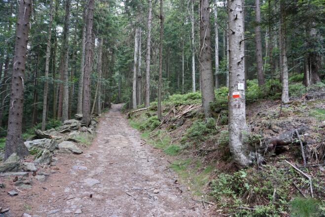 Steiler Anstieg zum Osser-Sattel