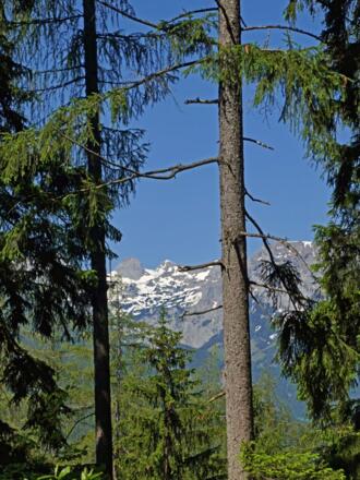 Beim Aufstieg zur Stubenalm
