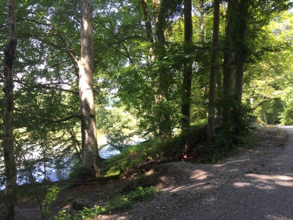 Zellhofstraße zwischen Schöngeising und Fürstenfeldbruck