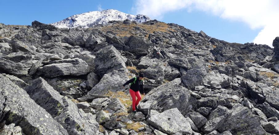 Hinten der Gipfel des Malgrübler.