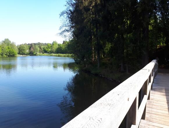 Dreiburgenseerunde (kurz)