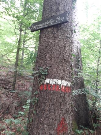 Abzweig Sepp Innerkofler Steig