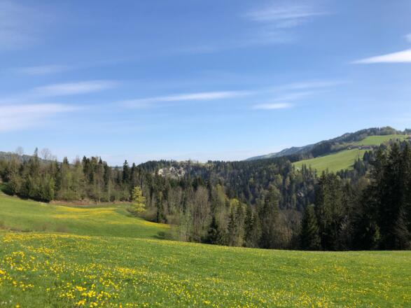 Blick unterhalb Buch Richtung Doren