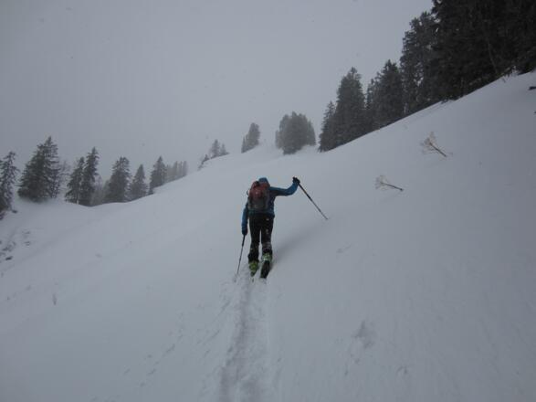 Aufstieg zur Nesslauer Scharte (rechts) und weiter zum Gröhrkopf (vorne)
