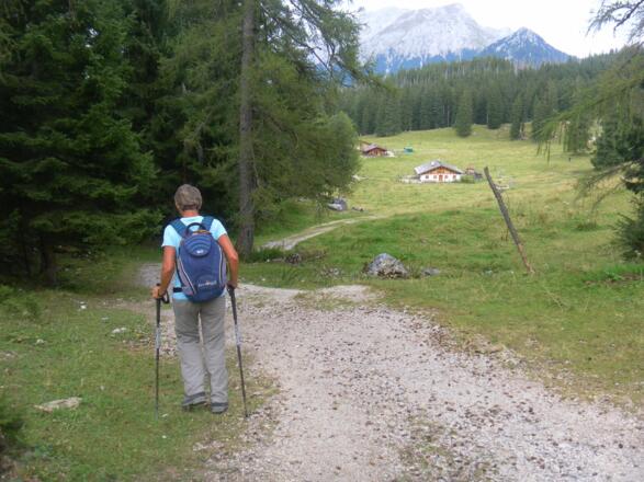 Kührointalm