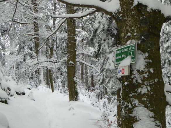 Wegmarkierung Schopf (steiler Weg)