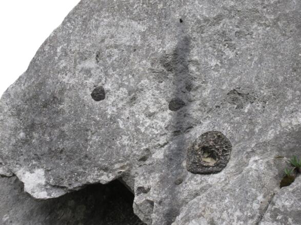 geologische Besonderheit: große, schwarze, raue Warzen auf dem Kalk